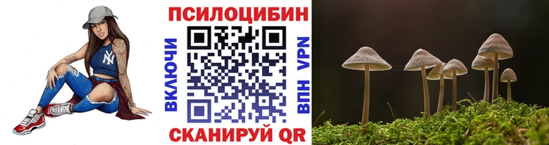 Галлюциногенные грибы Psilocybine cubensis  где можно купить наркотик  Домодедово 